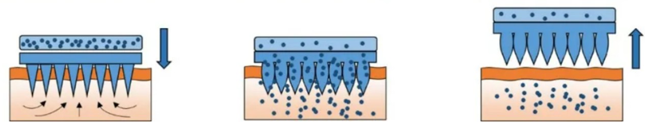 Fig.1. The hydrogel forming microneedles.