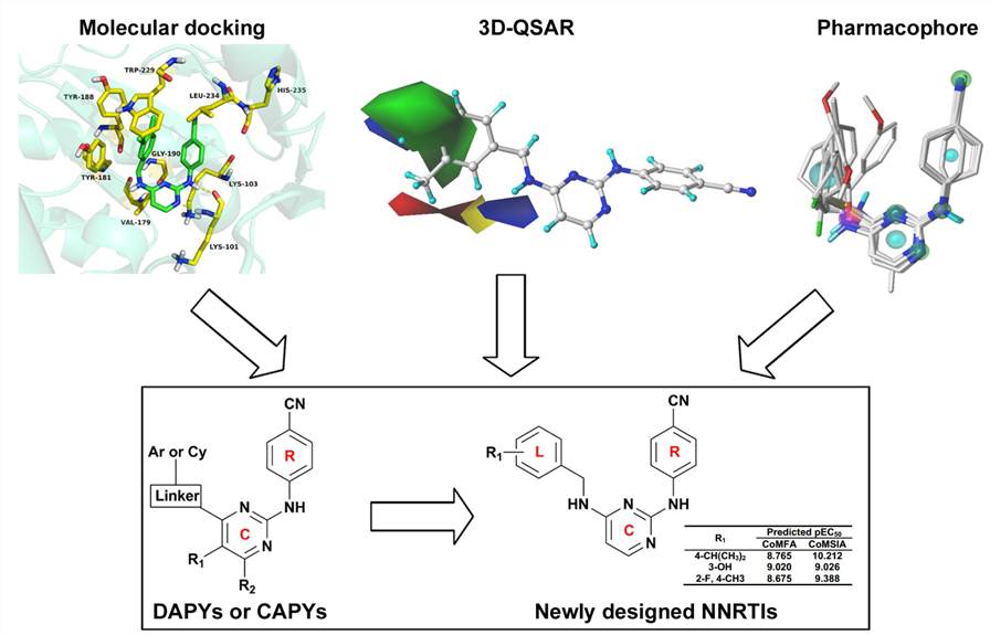 3D-QSAR, pharmacophore, and molecular docking studies were performed on DAPY analogues that were synthesized.