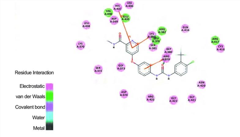 The ADMET prediction of both the best-docked compound Sorafenib.