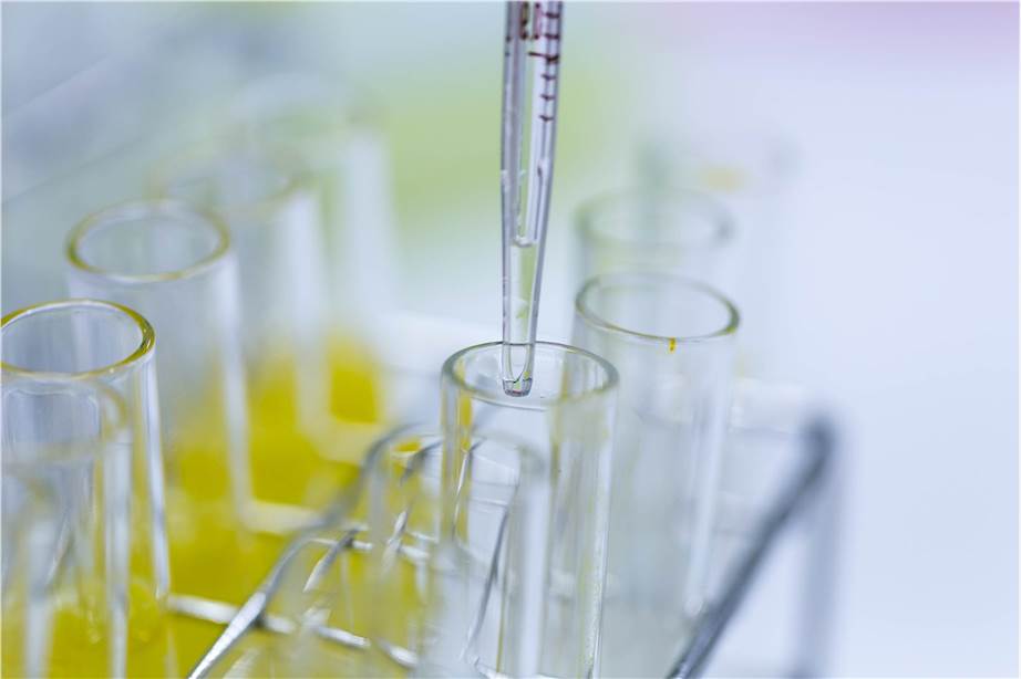 API Process Research and Drug Platform