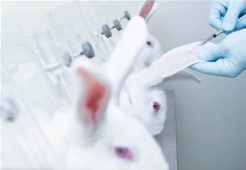 Acute Dermal Toxicity Test Animals