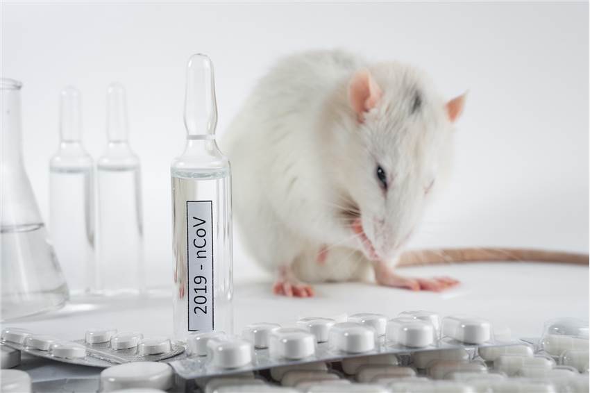 Acute Inhalation Toxicity Test Animals