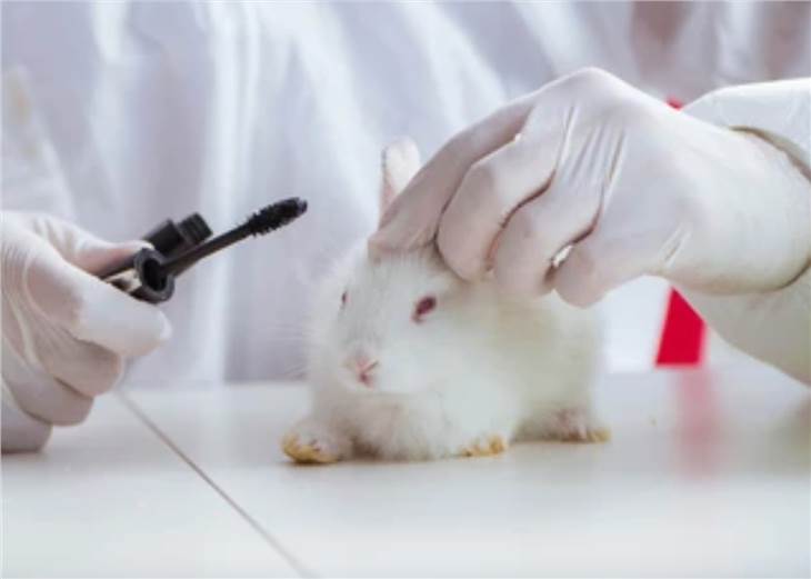Acute Skin Irritation and Corrosiveness Test Animals
