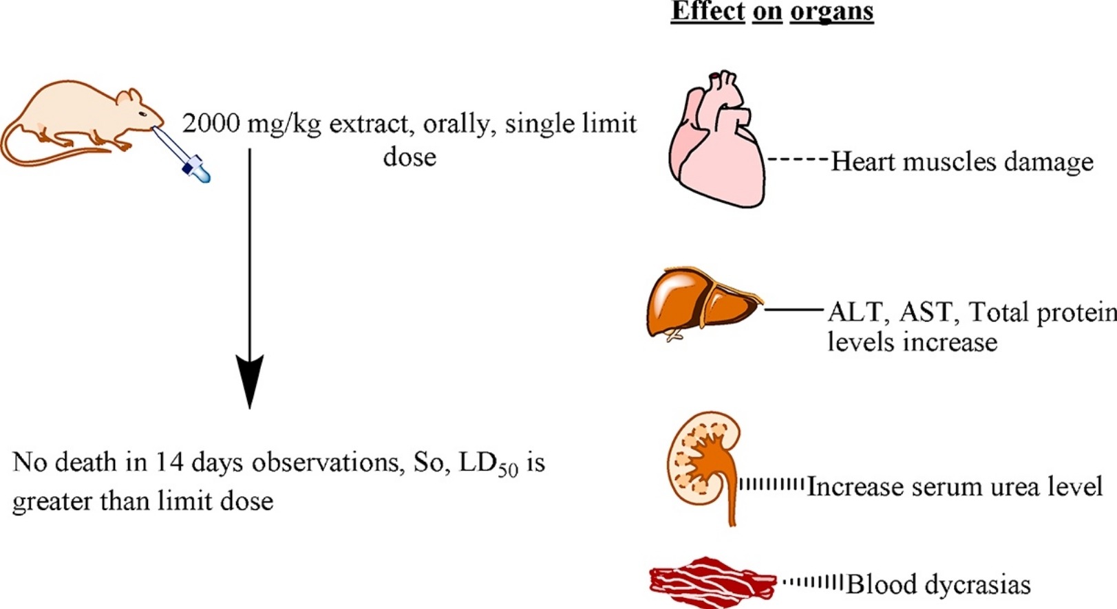 General principle of mammalian toxicology MTD procedure.