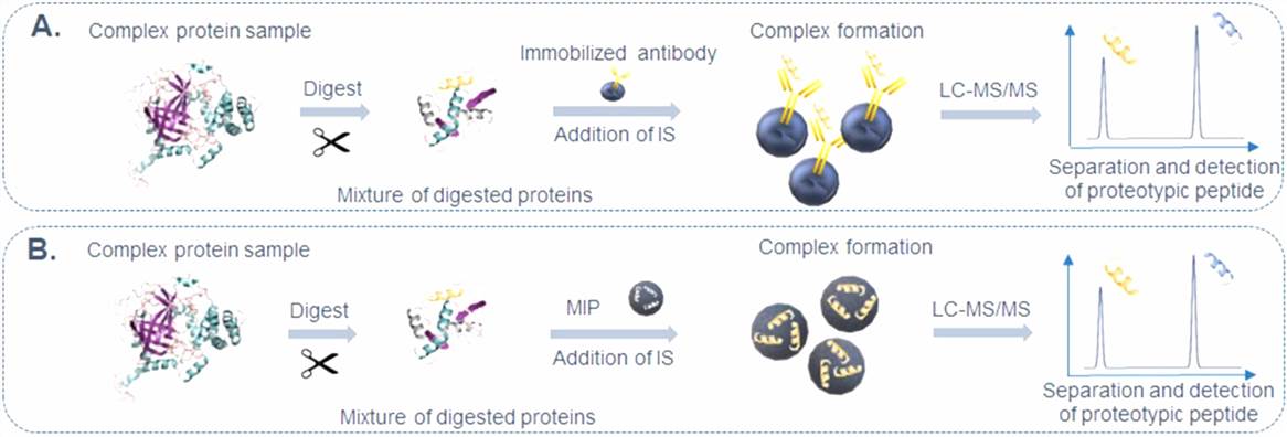 Schematic illustration of step-by-step affinity capture.