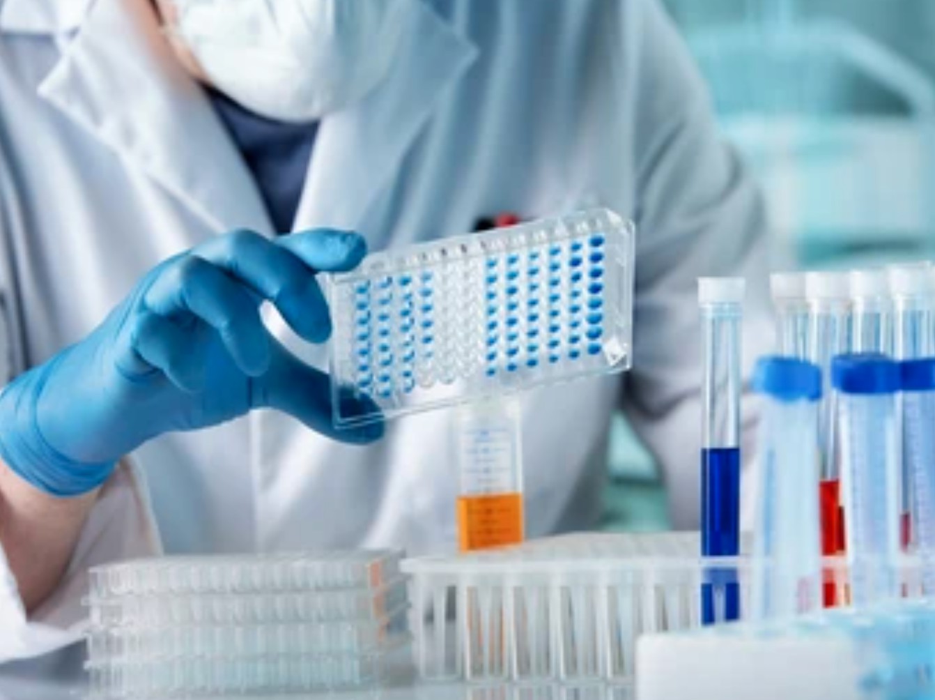 Protein Aggregate Experiments