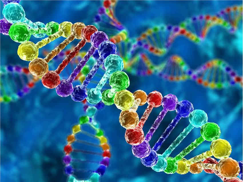Amino Acid Analysis Service