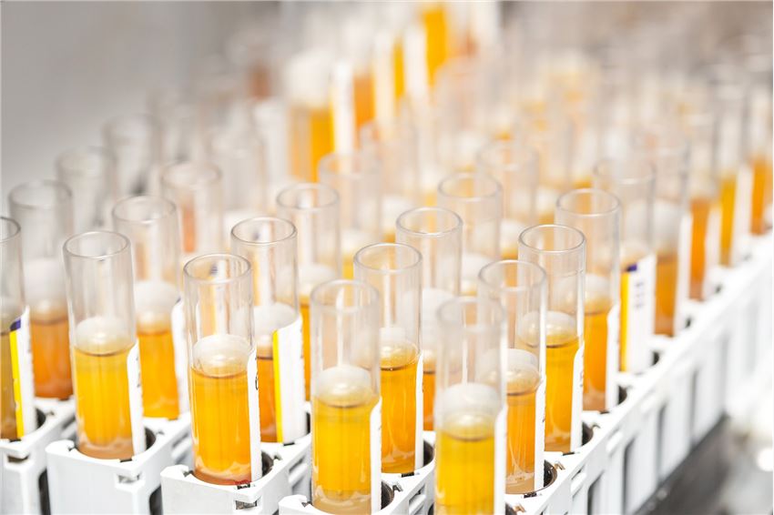 Animal Facility Laboratory