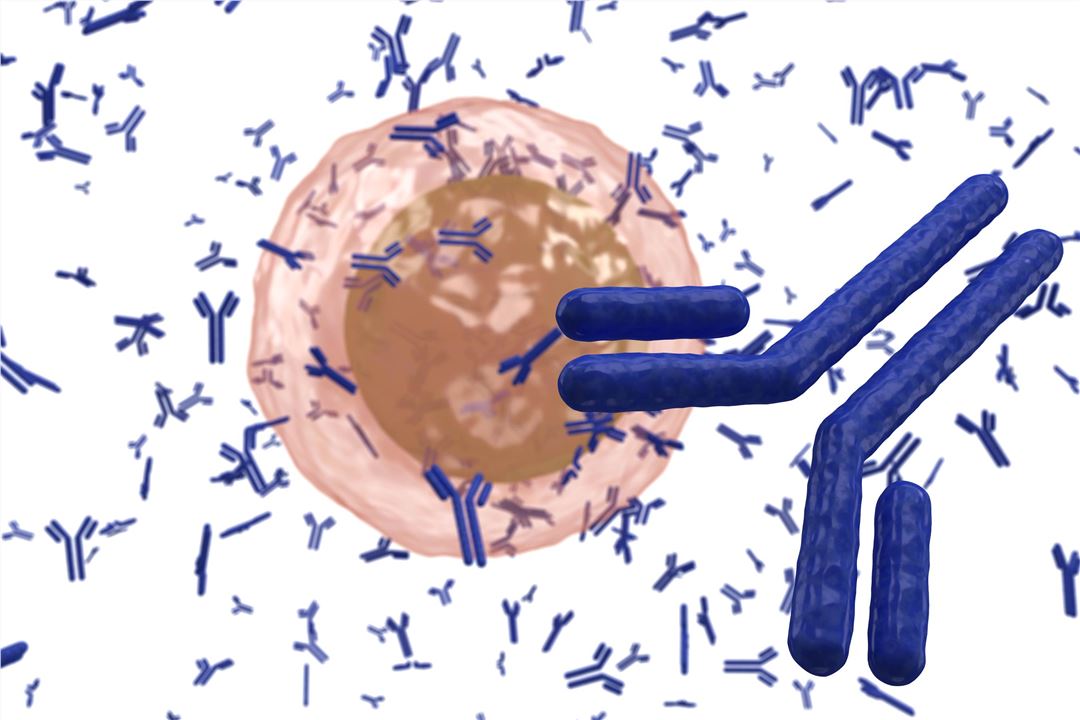 Antibody Chip Detection