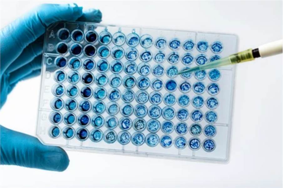 Antibody Design Laboratory