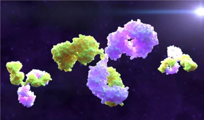 Antibody Humanization Samples