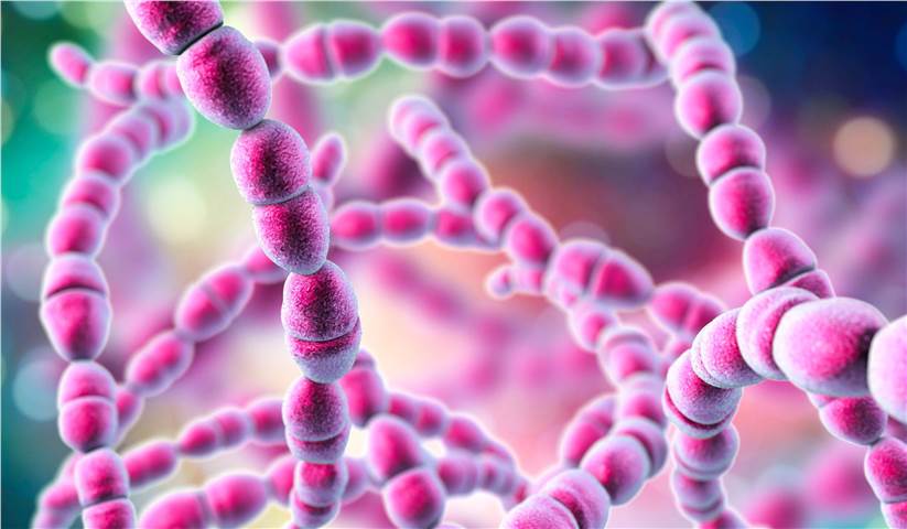 Bacterial Revertant Mutation Test