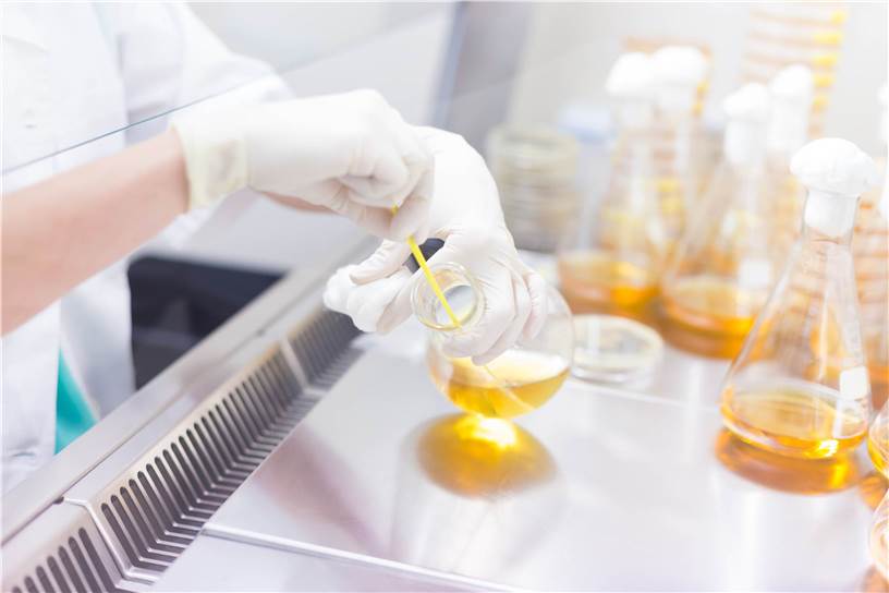 Bacterial Revertant Mutation Test Lab
