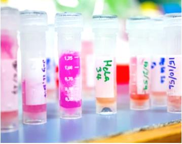 Hematology Analysis