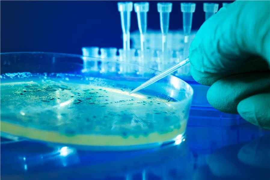 Biological Drug Development Service