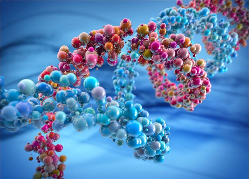 GPCRs Drug Development and Screening