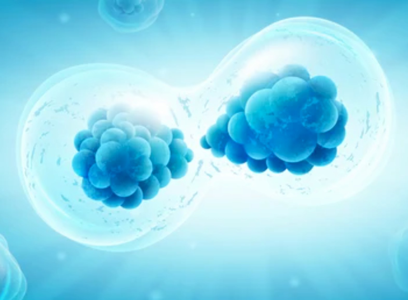 Biological Target Verification Service