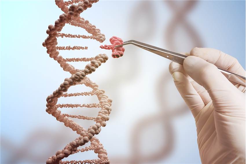 Gene Cloning and Stable Transfection