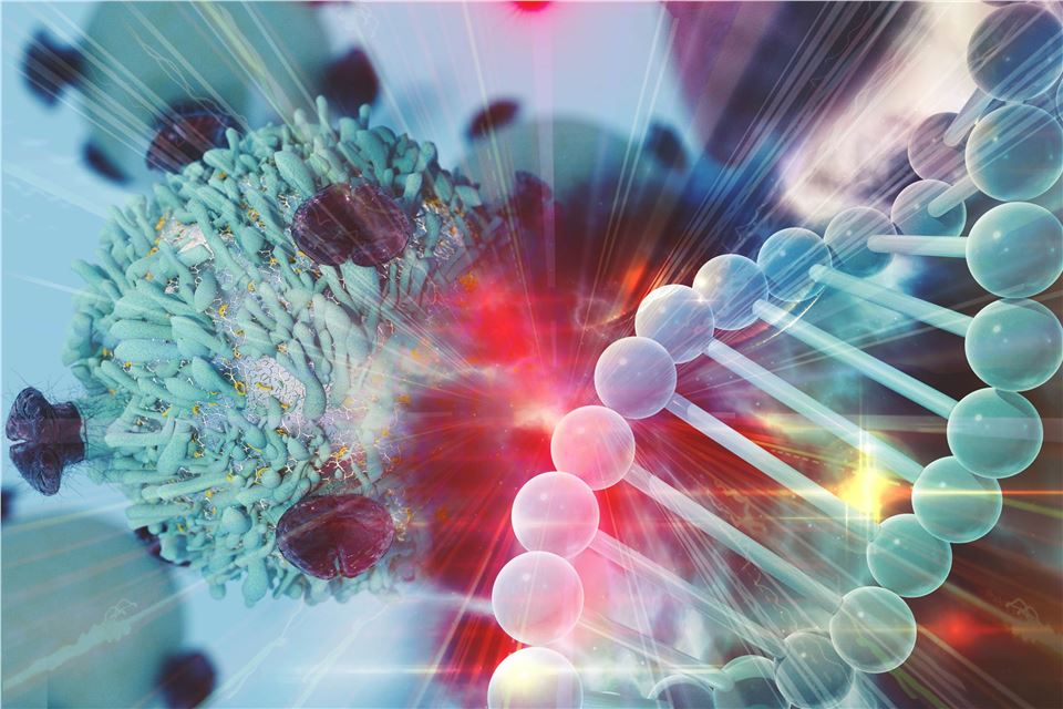 Broad-spectrum Metabolome Analysis