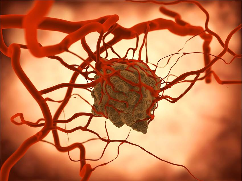 Carcinogenicity Research Capabilities
