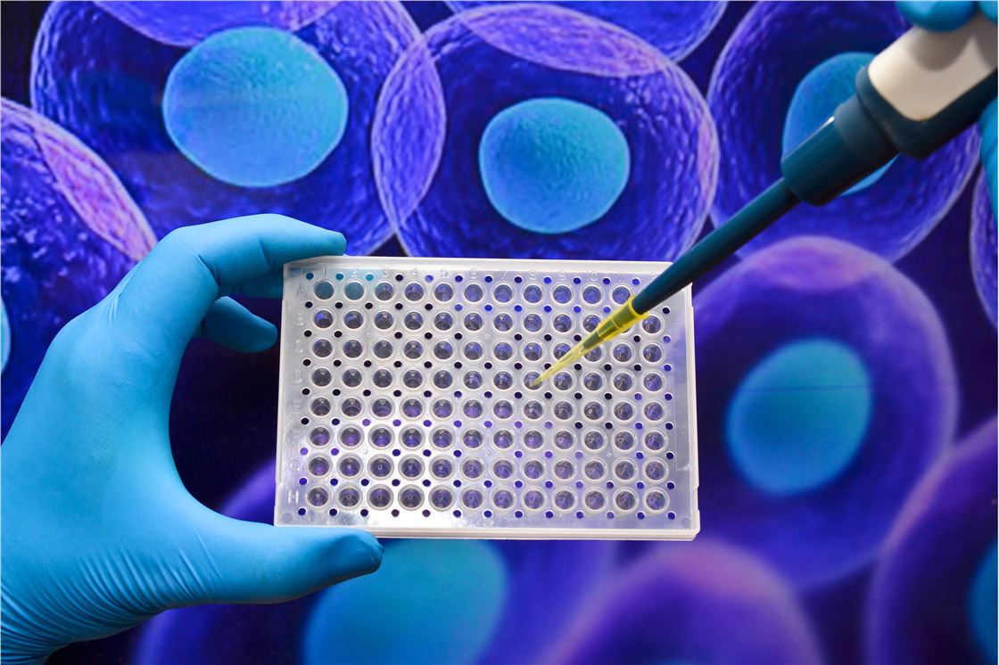 Cell Line Development Service