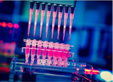 High-Throughput Sequencing-Based SNP Approach
