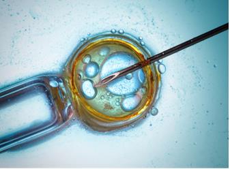 Cellular Level Screening Service