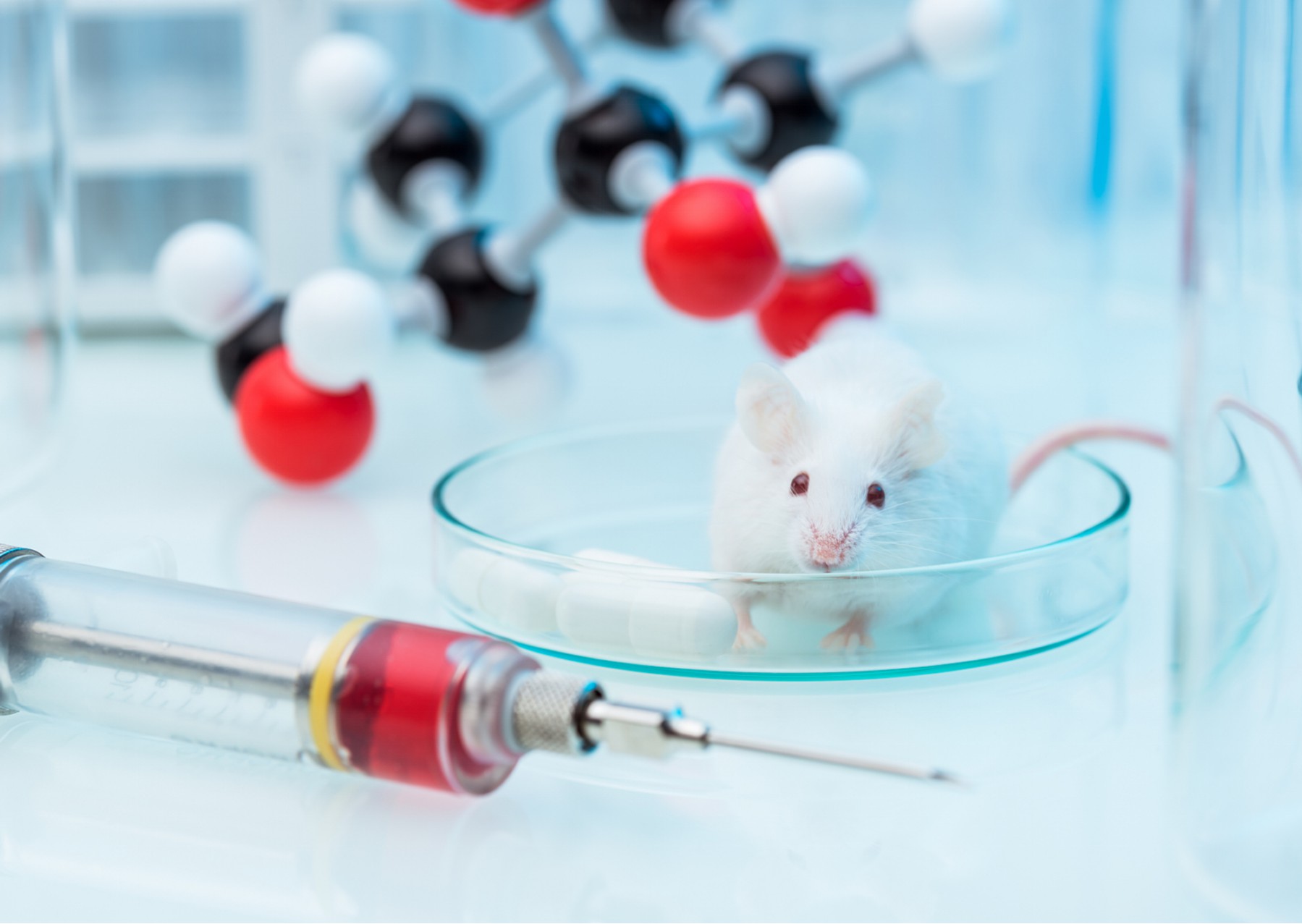 Chemical Information Based Drug Development