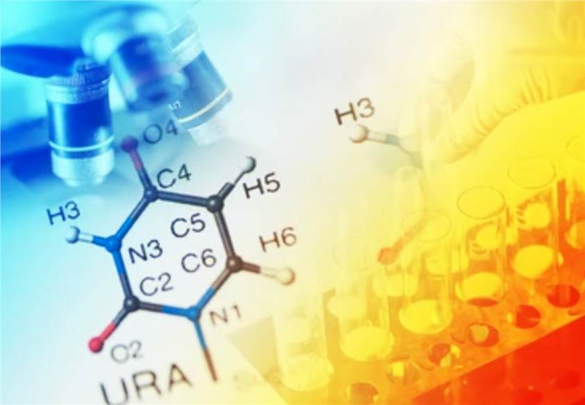 Chemical Testing Service