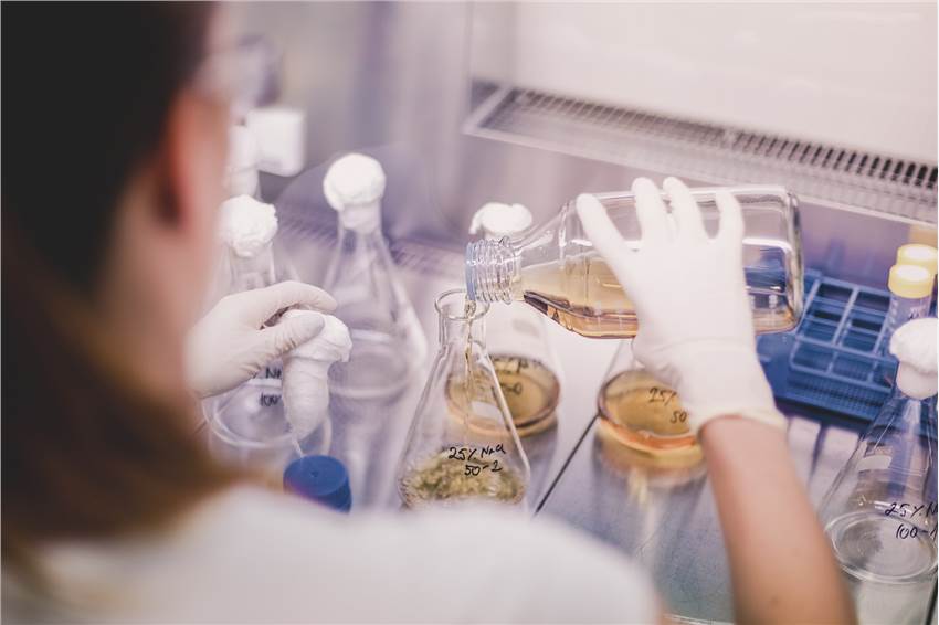 Chemicals Toxicity Test
