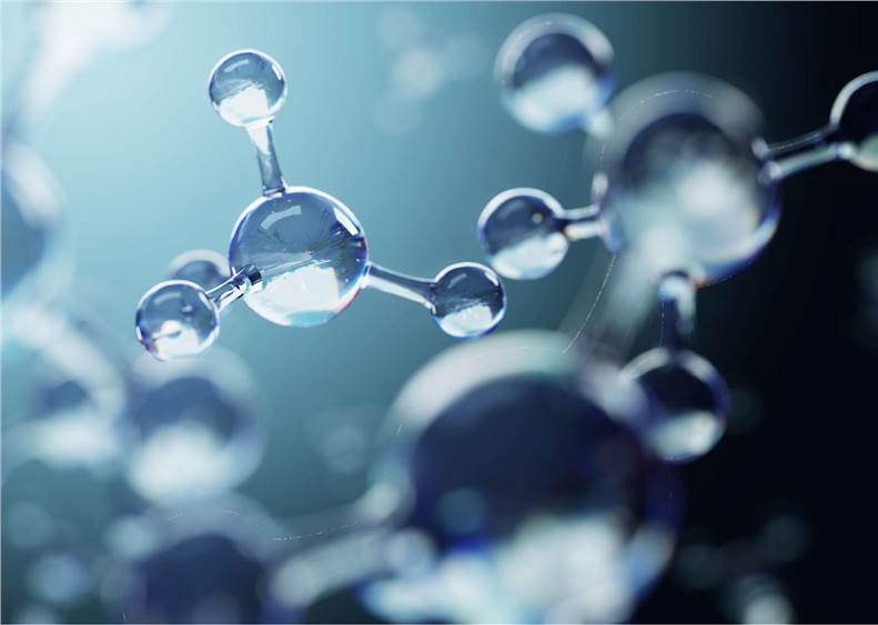 Chemicals Toxicological Evaluation Solutions