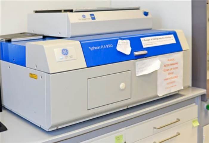 Clinical Pathology Service