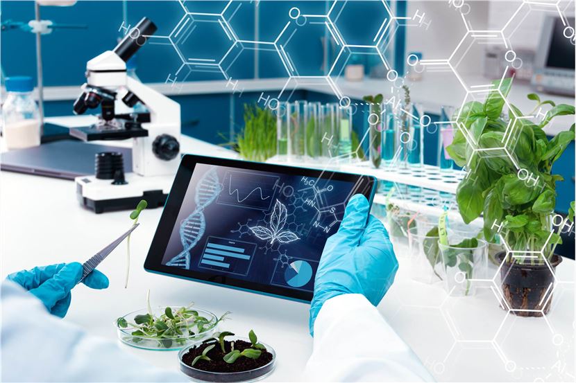 Computational Chemistry Service