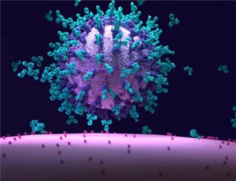 De Novo Drug Design