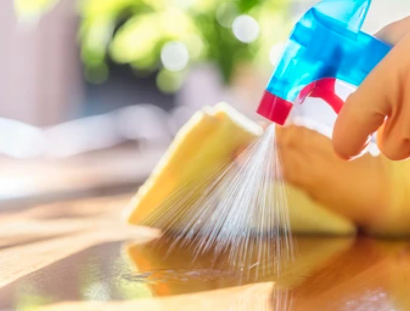 Disinfection Product Testing Service