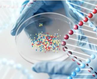 Drug Discovery and Research