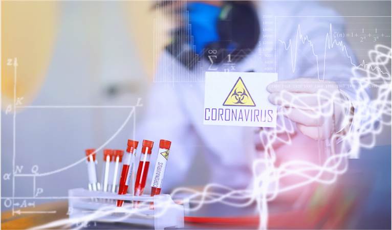 Early Toxicity Prediction and Screening Service