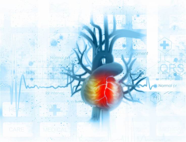 Cardiotoxicity Evaluation