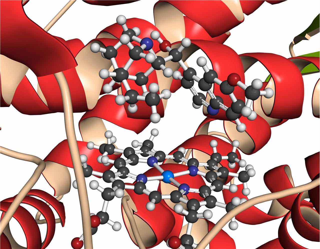 Enzymology and Molecular Interaction Research Service
