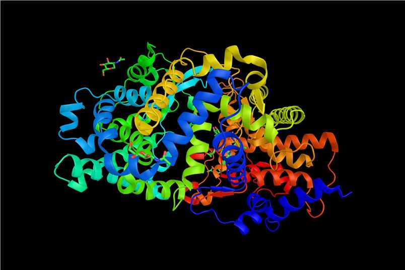 Computational Biology and Molecular Model Construction