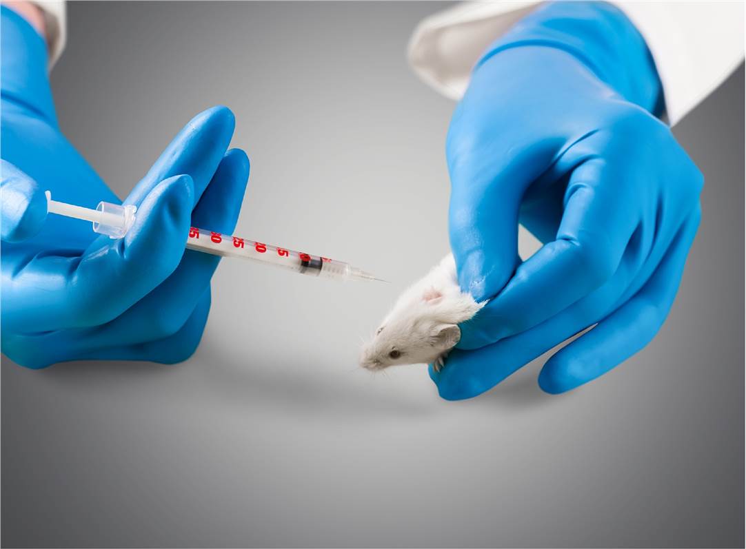 Acute and Dose Range Studies