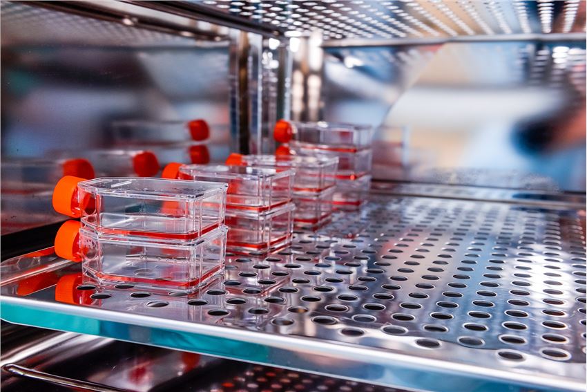 Cell Culture Chamber