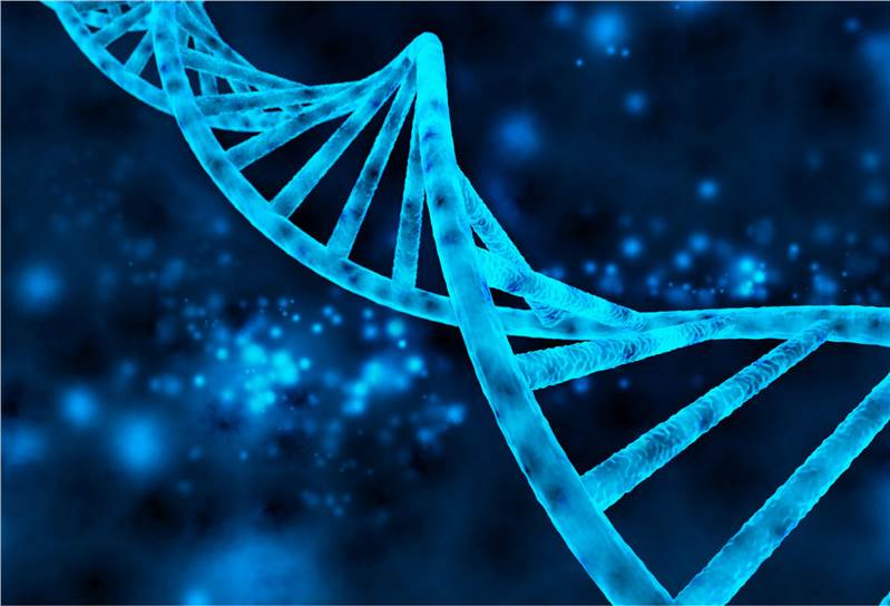 Genomic Service