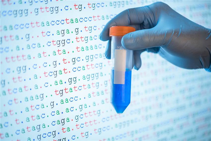 Targeted Gene Sequencing Service