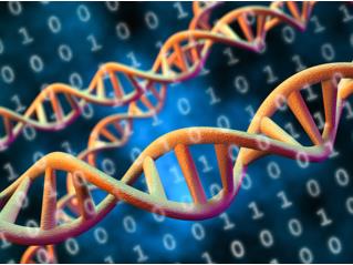 Genotyping Service