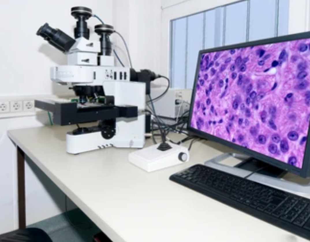 Modern microscope equipped with digital camera, computer and monitor