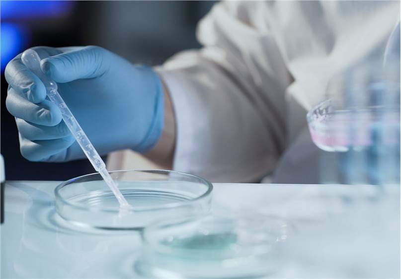 Histopathology Testing Service