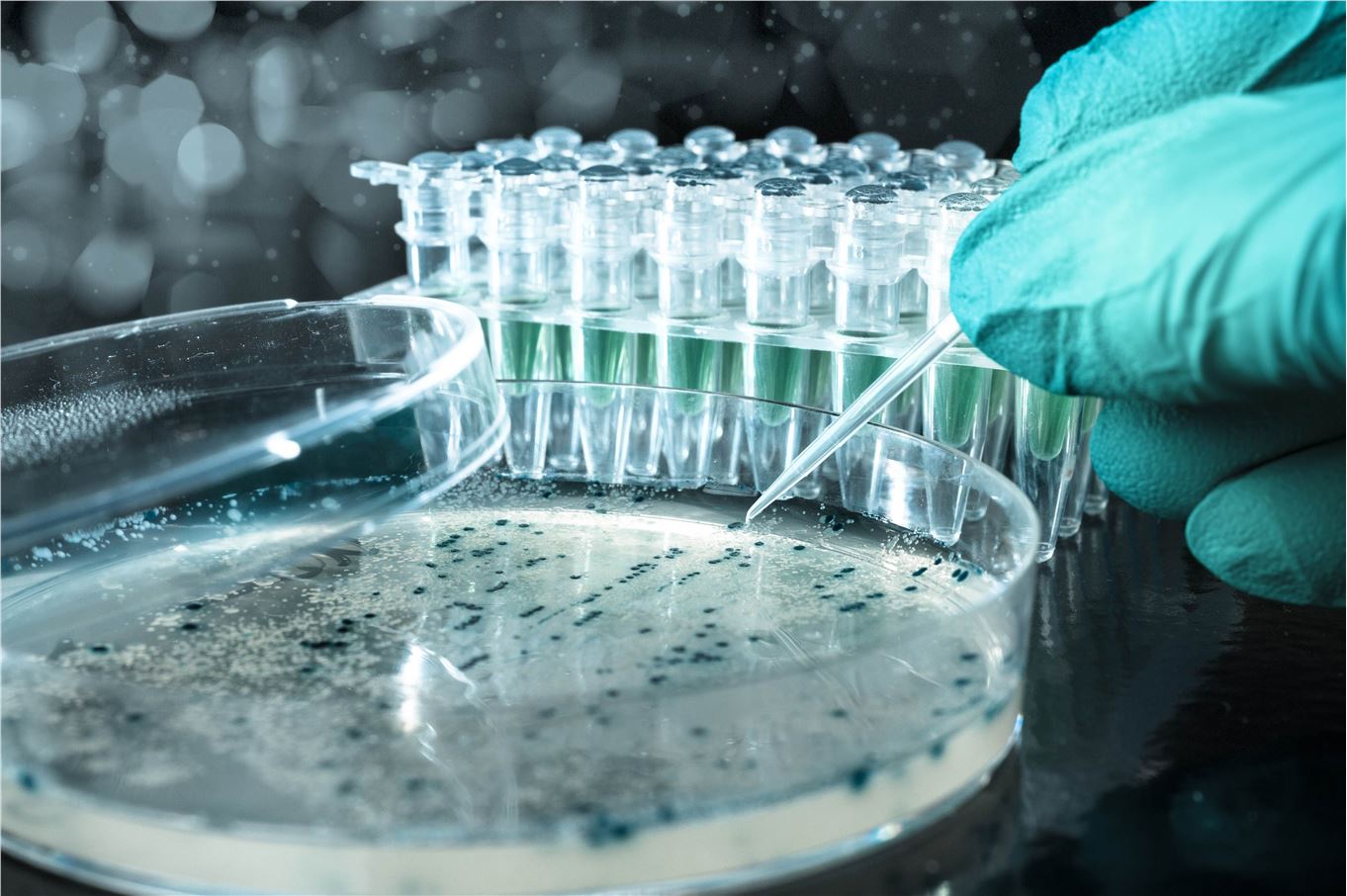 In Vitro Disease Biology