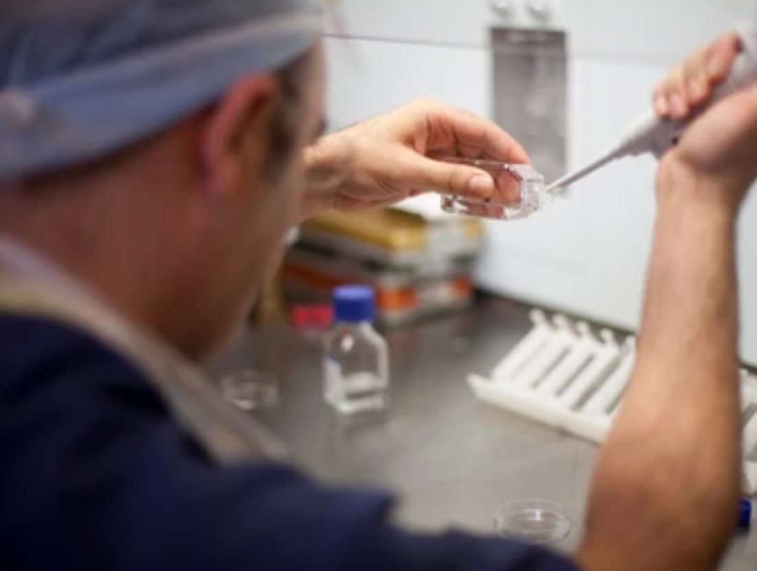 In Vitro Pharmacokinetic Service