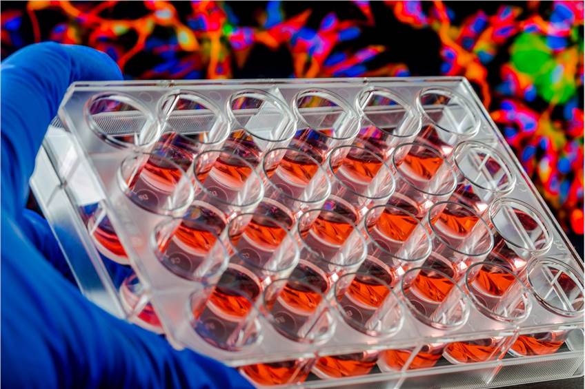 Luminescence Testing Service